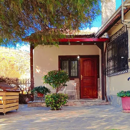 Το Πέτρινο Σπιτάκι Apartment Trikala  Exterior photo
